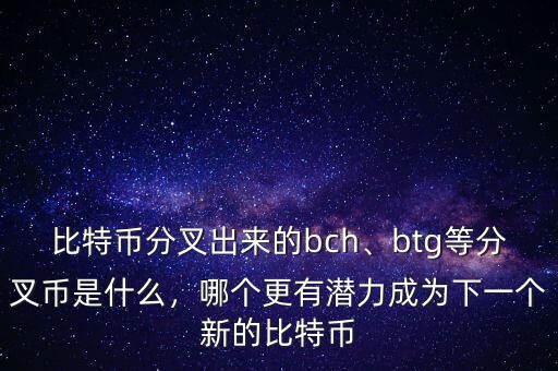 比特幣分叉出來的bch、btg等分叉幣是什么，哪個更有潛力成為下一個新的比特幣