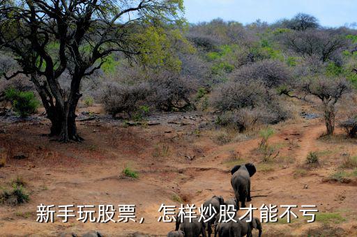 股票怎么玩才能賺錢(qián),股票玩了半年