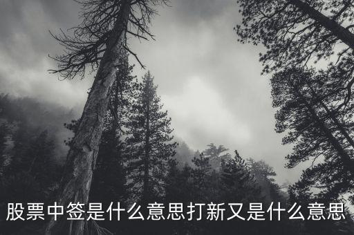 股票中簽是什么意思打新又是什么意思