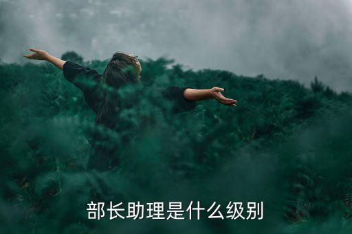 劉鐵男是什么級(jí)別,部長助理是什么級(jí)別