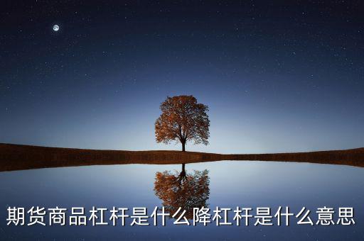 滿倉(cāng)加杠桿什么意思,降杠桿是什么意思