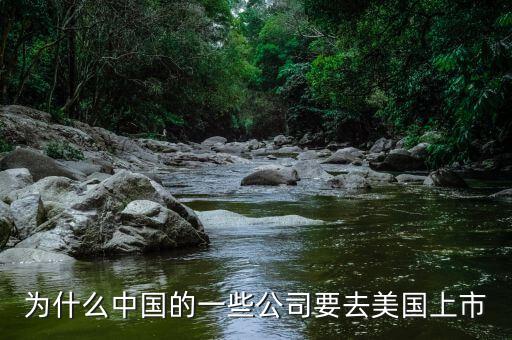 為什么中國的一些公司要去美國上市