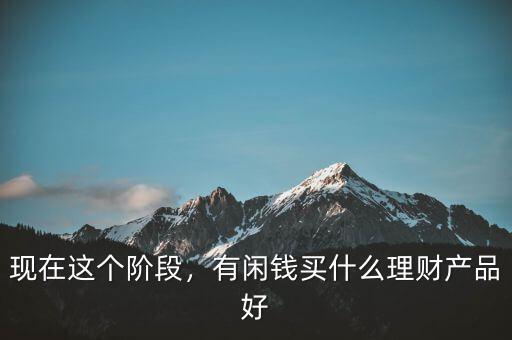 現(xiàn)在這個階段，有閑錢買什么理財產(chǎn)品好