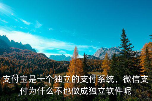 支付寶是一個(gè)獨(dú)立的支付系統(tǒng)，微信支付為什么不也做成獨(dú)立軟件呢