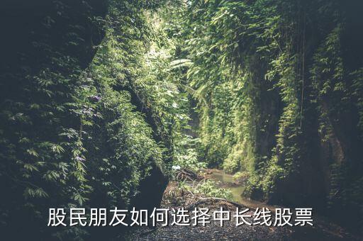 股票中長(zhǎng)線什么意思,怎樣尋找中長(zhǎng)線股票