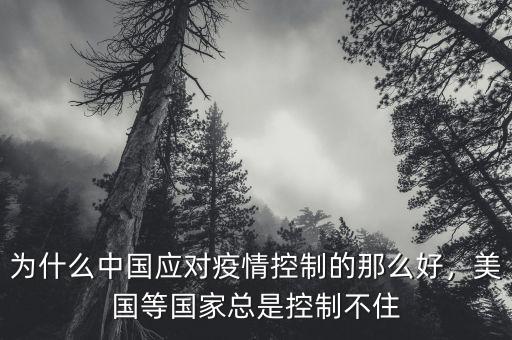 為什么中國應(yīng)對疫情控制的那么好，美國等國家總是控制不住