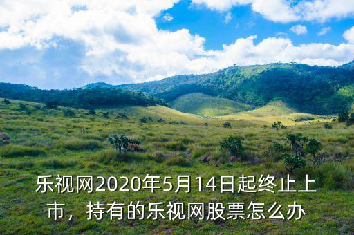 樂視網(wǎng)2020年5月14日起終止上市，持有的樂視網(wǎng)股票怎么辦