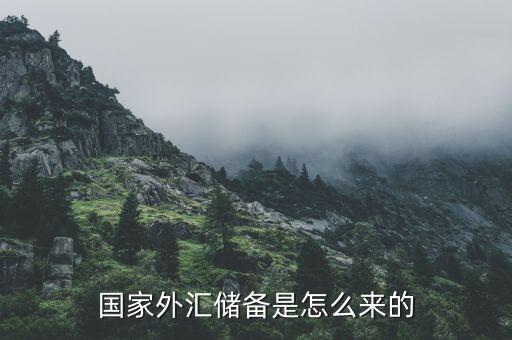 外匯儲(chǔ)備是怎么產(chǎn)生的,國家外匯儲(chǔ)備是怎么來的