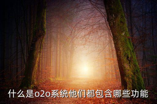 什么是o2o系統(tǒng)他們都包含哪些功能