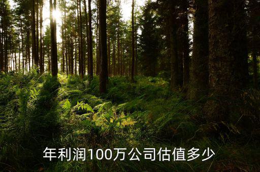 年利潤(rùn)100萬(wàn)公司估值多少