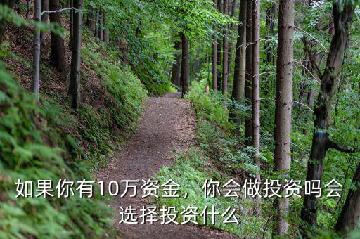 如果你有10萬(wàn)資金，你會(huì)做投資嗎會(huì)選擇投資什么