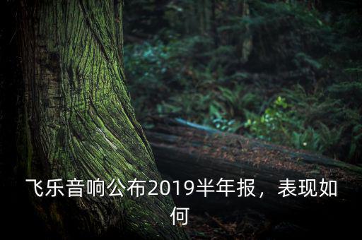 飛樂音響公布2019半年報(bào)，表現(xiàn)如何