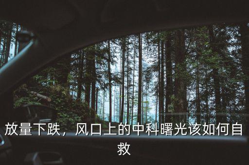 放量下跌，風(fēng)口上的中科曙光該如何自救