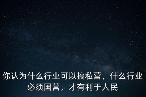 你認為什么行業(yè)可以搞私營，什么行業(yè)必須國營，才有利于人民