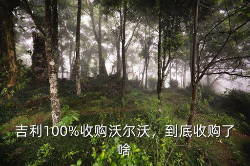 吉利100%收購(gòu)沃爾沃，到底收購(gòu)了啥