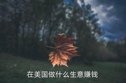 在美國(guó)做什么生意賺錢