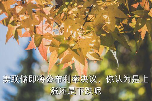 美聯(lián)儲(chǔ)利率決議是什么意思,美聯(lián)儲(chǔ)即將公布利率決議