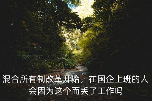 混合所有制改革開始，在國(guó)企上班的人會(huì)因?yàn)檫@個(gè)而丟了工作嗎