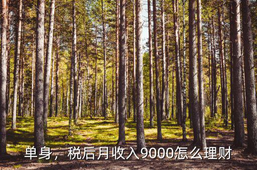 單身，稅后月收入9000怎么理財