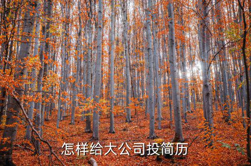 怎樣給大公司投簡(jiǎn)歷