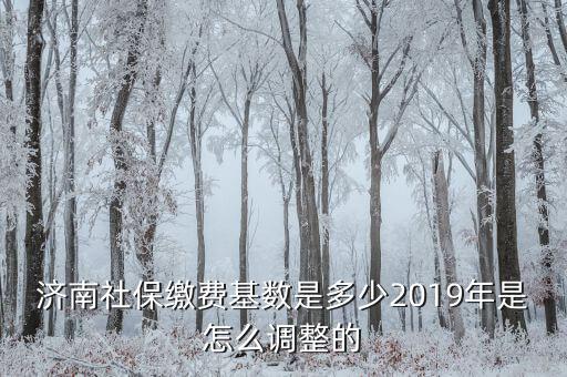 濟(jì)南社保繳費(fèi)基數(shù)是多少2019年是怎么調(diào)整的