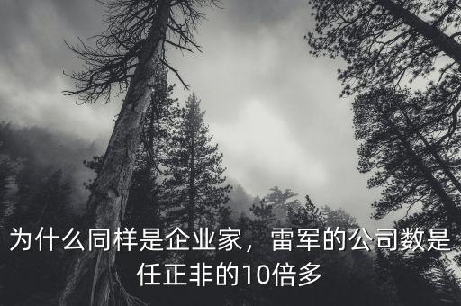 為什么同樣是企業(yè)家，雷軍的公司數(shù)是任正非的10倍多