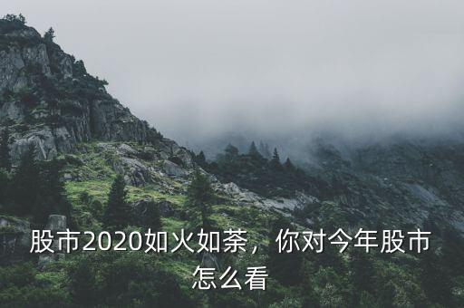 股市2020如火如荼，你對今年股市怎么看