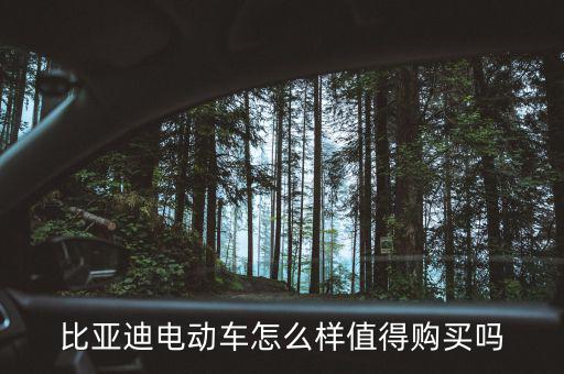 比亞迪電動(dòng)車(chē)怎么樣值得購(gòu)買(mǎi)嗎