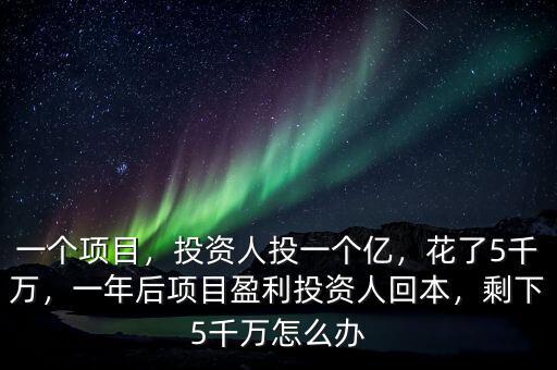 一個項目，投資人投一個億，花了5千萬，一年后項目盈利投資人回本，剩下5千萬怎么辦