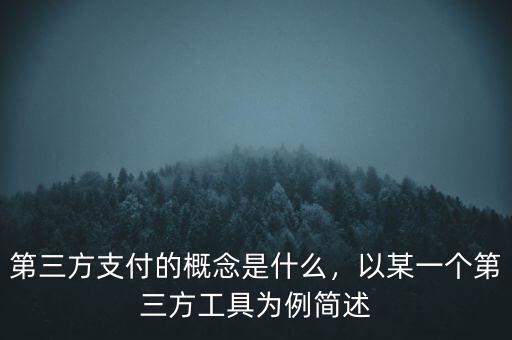 第三方支付的概念是什么，以某一個(gè)第三方工具為例簡(jiǎn)述