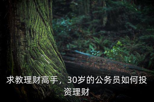 求教理財高手，30歲的公務員如何投資理財