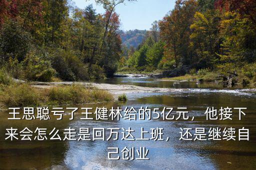 王思聰虧了王健林給的5億元，他接下來(lái)會(huì)怎么走是回萬(wàn)達(dá)上班，還是繼續(xù)自己創(chuàng)業(yè)