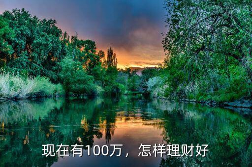 有100萬怎么理財,你有100萬閑錢怎么理財