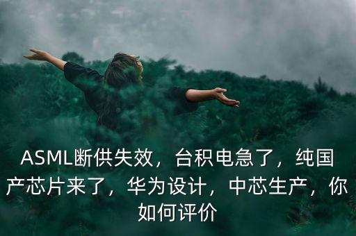 ASML斷供失效，臺積電急了，純國產(chǎn)芯片來了，華為設計，中芯生產(chǎn)，你如何評價