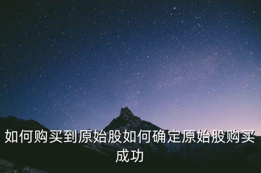 原始股怎么中簽中到,什么是原始股