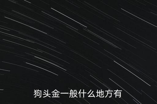 狗頭金一般什么地方有