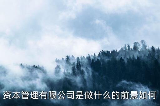 投資管理公司可以做什么,資本管理有限公司是做什么的