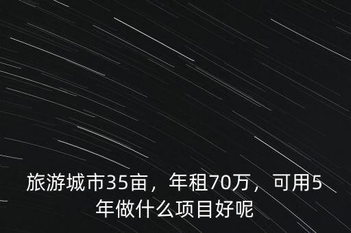 旅游城市35畝，年租70萬，可用5年做什么項(xiàng)目好呢