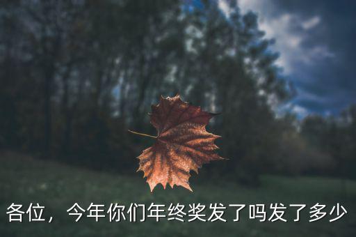 各位，今年你們年終獎發(fā)了嗎發(fā)了多少