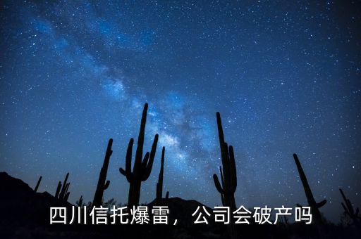 信托公司破產(chǎn)怎么辦,四川信托爆雷