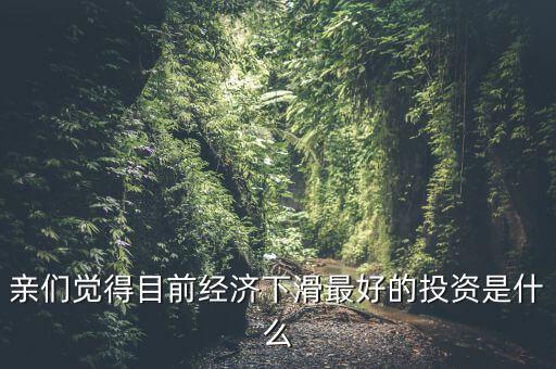 親們覺(jué)得目前經(jīng)濟(jì)下滑最好的投資是什么