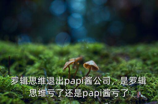 羅輯思維退出papi醬公司，是羅輯思維虧了還是papi醬虧了