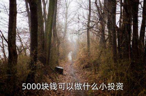 5000塊錢可以做什么小投資