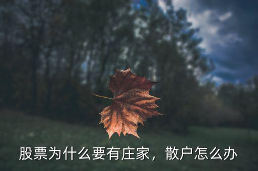 股票為什么要有莊家，散戶怎么辦