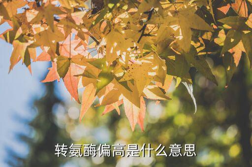 送高會(huì)是什么意思,轉(zhuǎn)氨酶偏高是什么意思