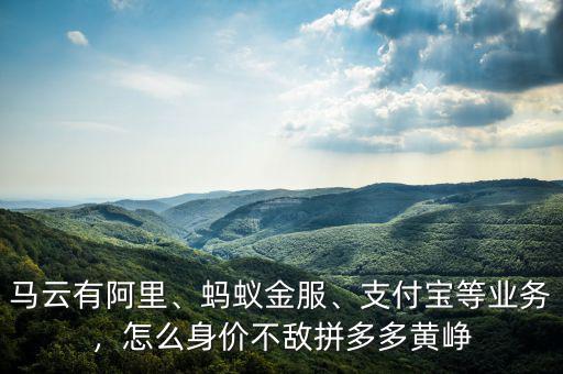 馬云有阿里、螞蟻金服、支付寶等業(yè)務，怎么身價不敵拼多多黃崢