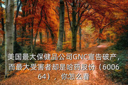 美國最大保健品公司GNC宣告破產(chǎn)，而最大受害者卻是哈藥股份（600664），你怎么看