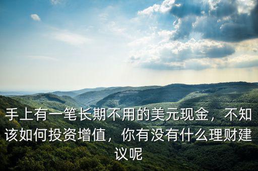 手上有一筆長期不用的美元現(xiàn)金，不知該如何投資增值，你有沒有什么理財(cái)建議呢