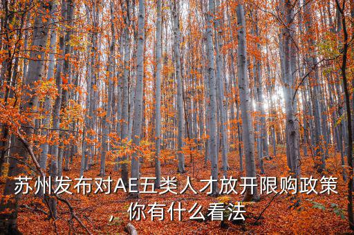 蘇州發(fā)布對(duì)AE五類人才放開限購(gòu)政策，你有什么看法