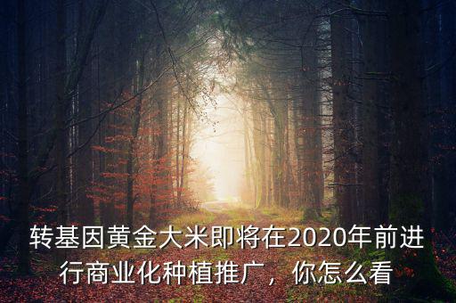 轉(zhuǎn)基因黃金大米即將在2020年前進行商業(yè)化種植推廣，你怎么看